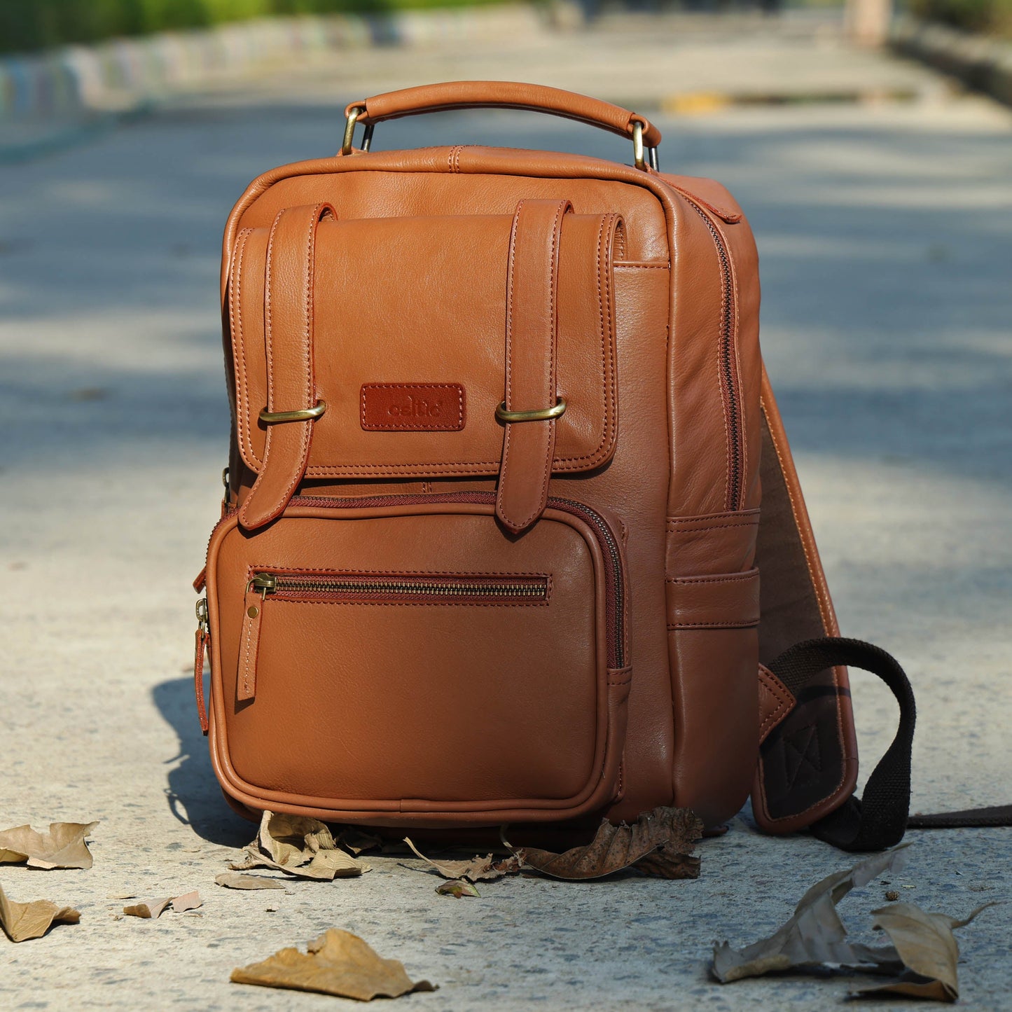 Compact & Stylish Leather Unisex Small Backpack – Perfect for Everyday Use. Art: BG-1610-S Pack of 25