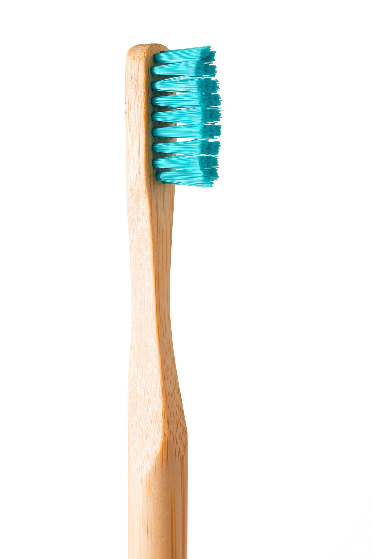 Bamboo Executive Toothbrush with Holder ( combo Pack ) Pack of 50