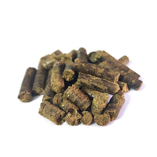 Bamboo Fertilizer Spike - 250 grams Pack of 50