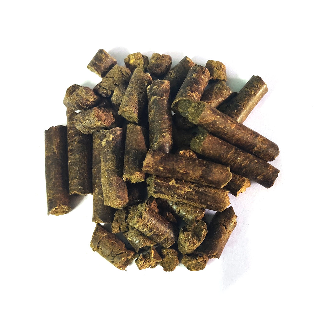 Bamboo Fertilizer Spike - 250 grams Pack of 50