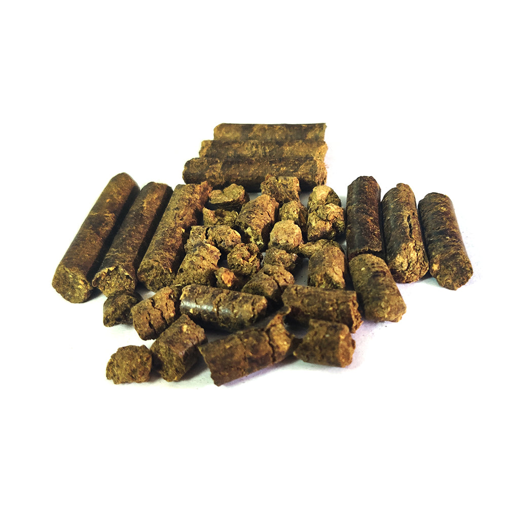 Bamboo Fertilizer Spike - 250 grams Pack of 50