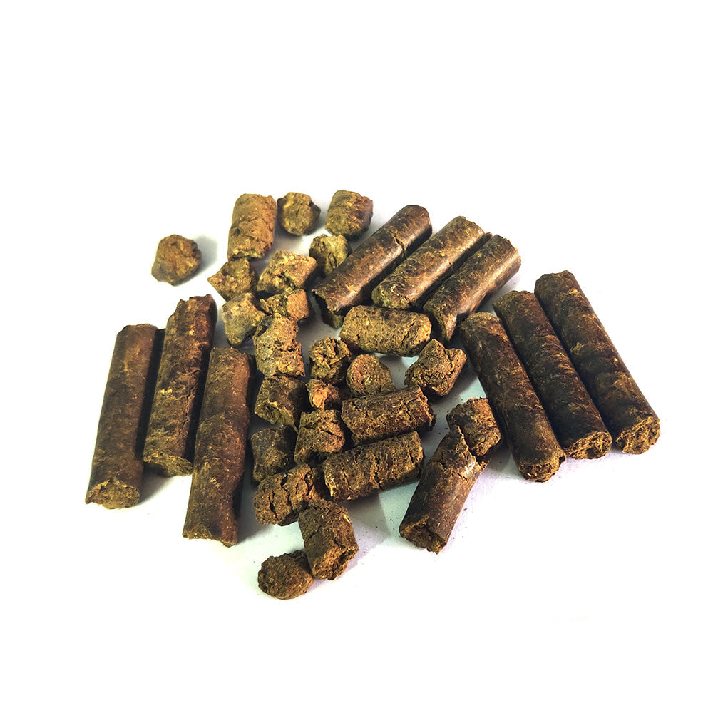 Bamboo Fertilizer Spike - 250 grams Pack of 50