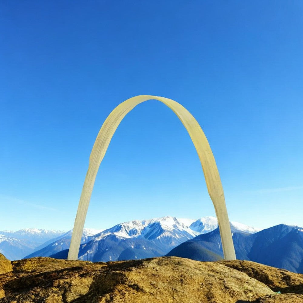 Bamboo Tongue Cleaner (Pack of 4)