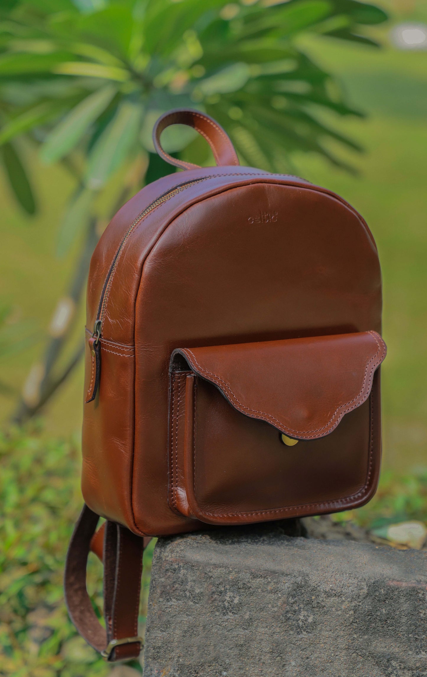 Chic Leather Backpacks for Girls: Elevate Your Style with Fashion and Functionality,  Art: BG-1357 Pack of 25