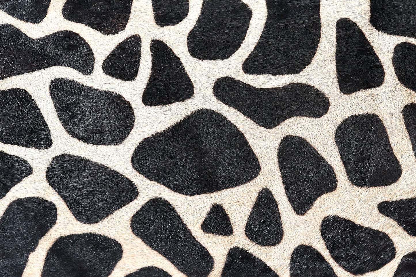 Elevate Your Style with our Black Leather Sling Bag featuring Printed Hair-On Design.  Art: BG-1361 Pack of 25