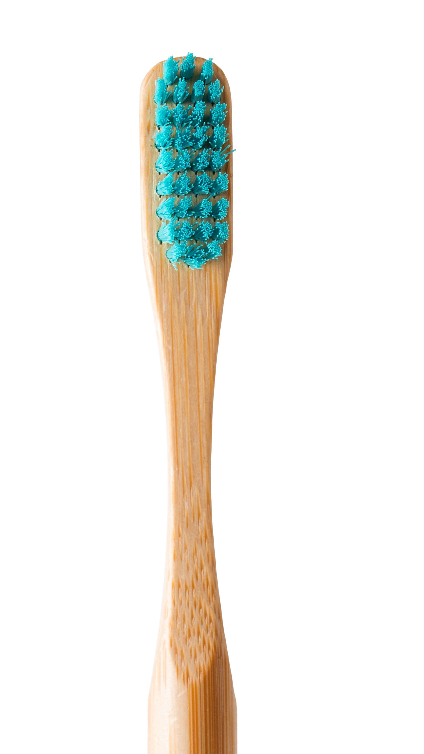Bamboo Executive Toothbrush with Holder ( combo Pack ) Pack of 50