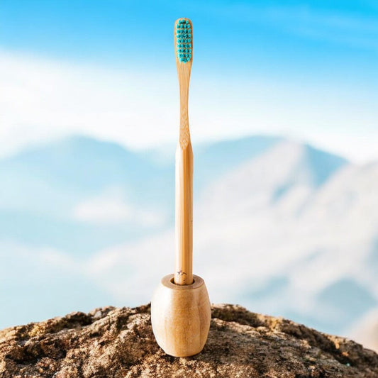 Bamboo Executive Toothbrush with Holder (Pack of 4)