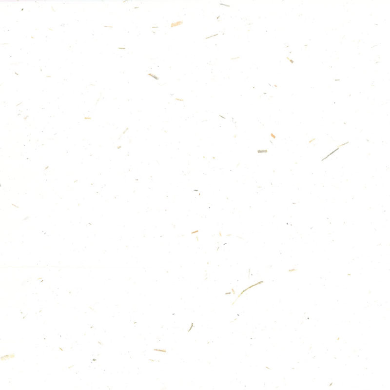 100% COTTON HERBARIUM PAPER - Pune Handmade Papers