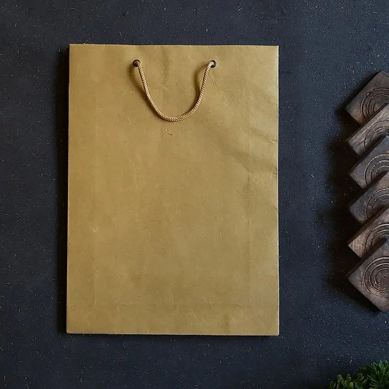 PLAIN PAPER BAGS Pack of 50