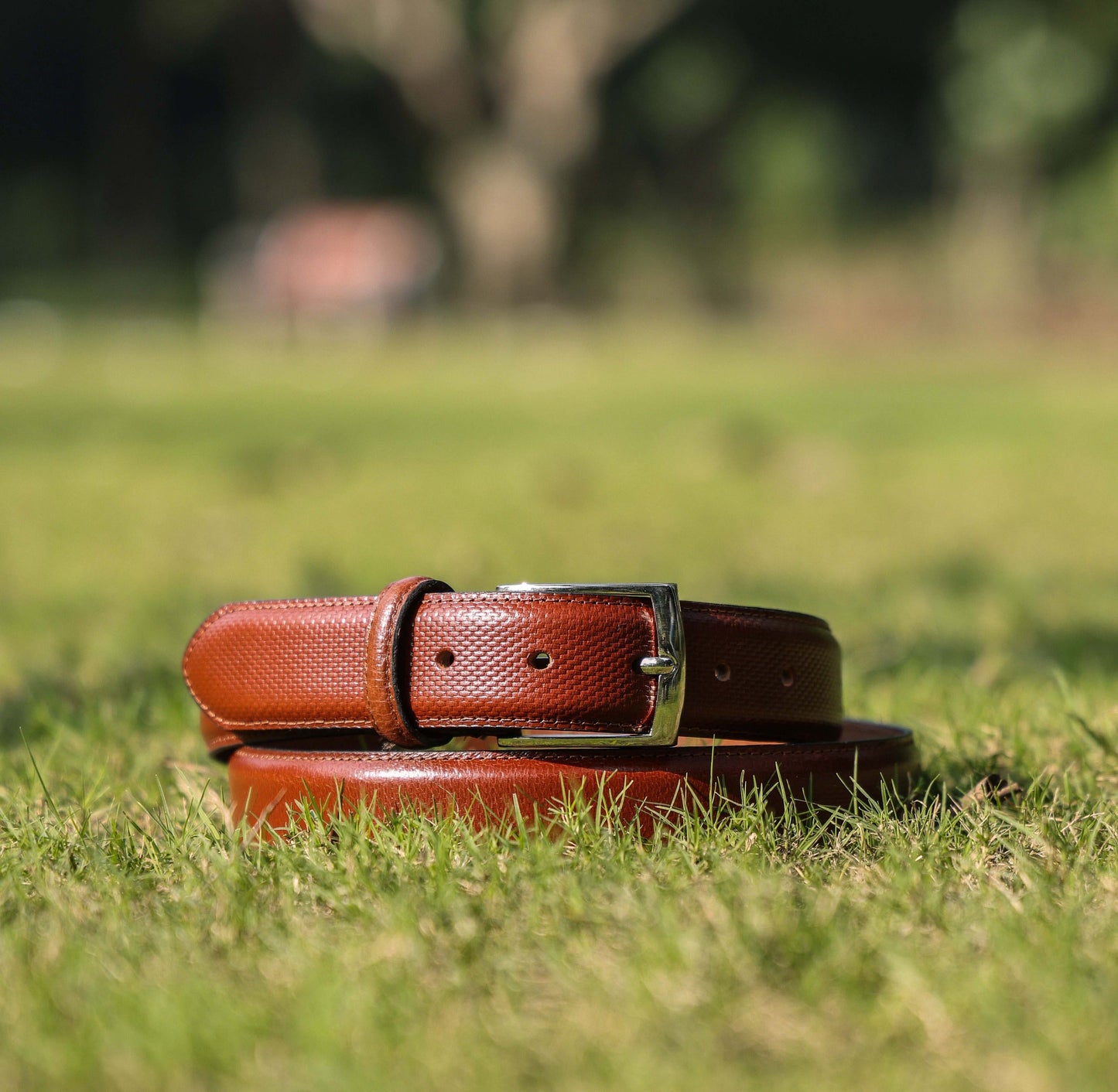 Exclusive Formal Leather Belt,  Art:LB-806 Pack of 50